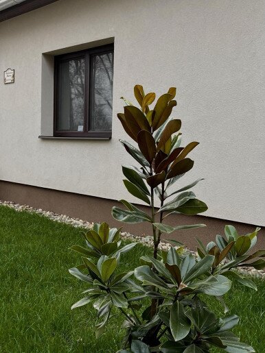 Vadaskert Apartman Gyula - 48