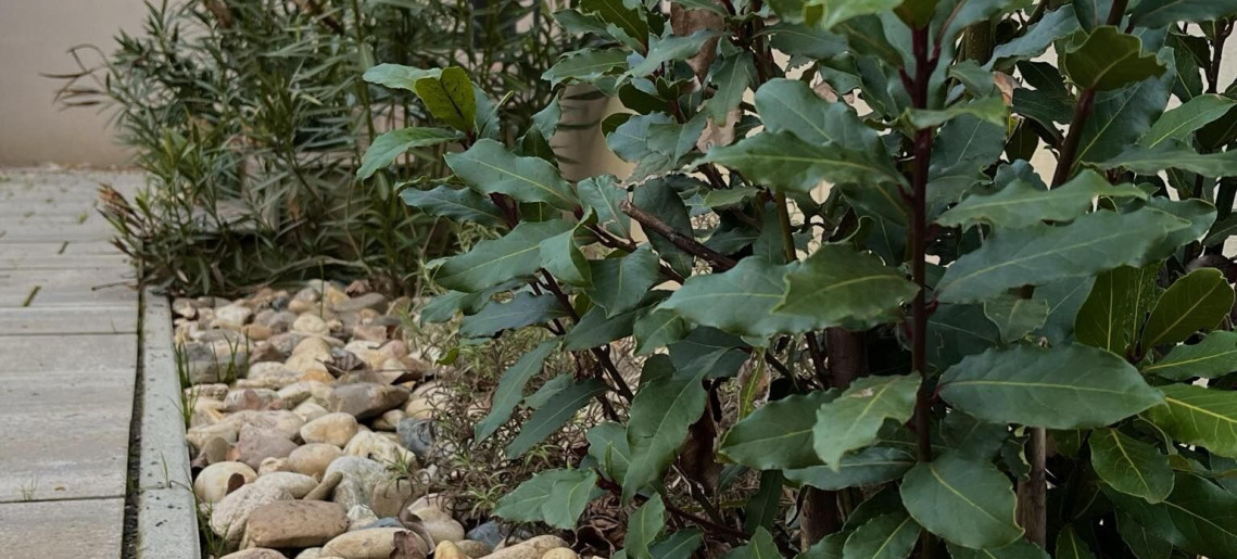 Vadaskert Apartman Gyula - 49