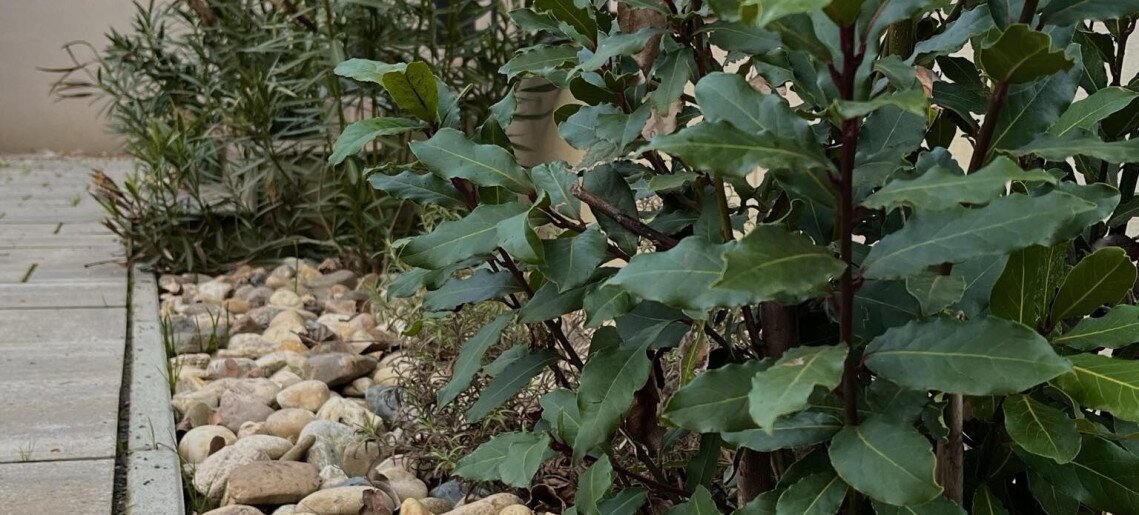 Vadaskert Apartman Gyula - 49