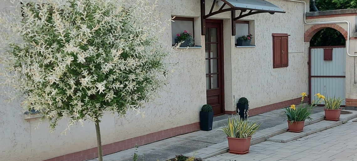 Ruszi Apartman Gyula - 5