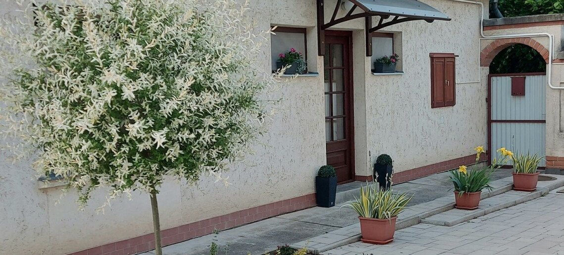 Ruszi Apartman Gyula - 5