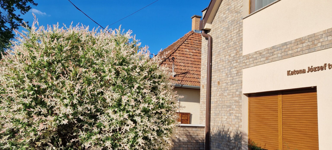 Sunlight Apartman Gyula - 4