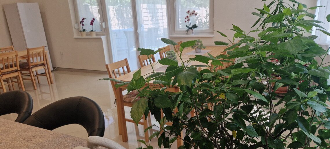 Sunlight Apartman Gyula - 10