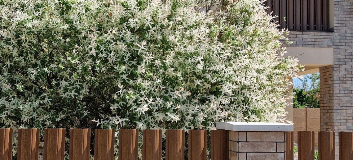 Sunlight Apartman Gyula - 2