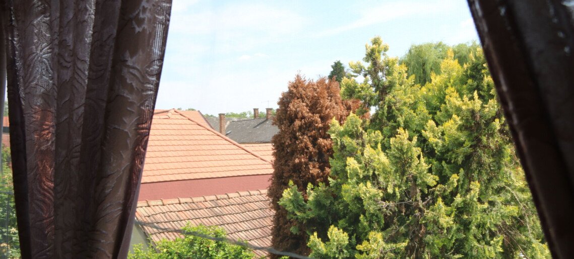 Hajnalka Apartmanház Gyula - 2