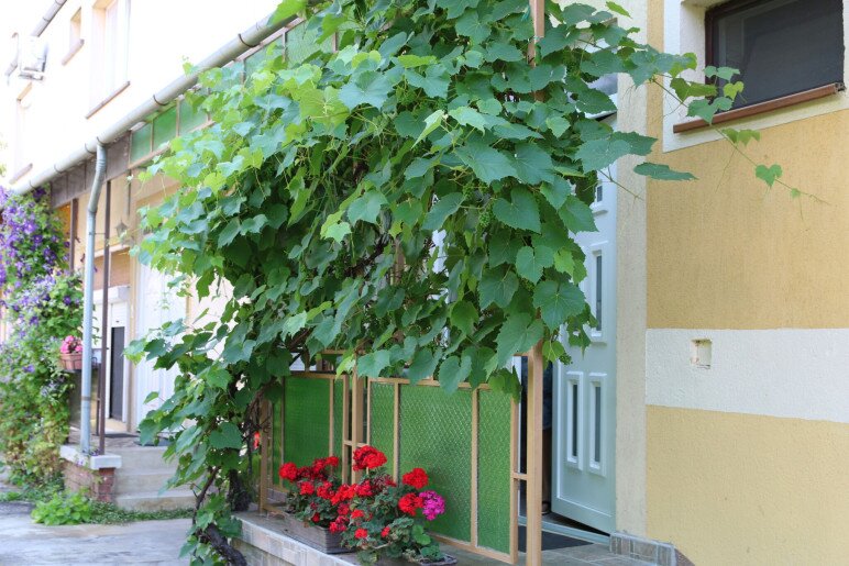 Hajnalka Apartmanház Gyula - 1
