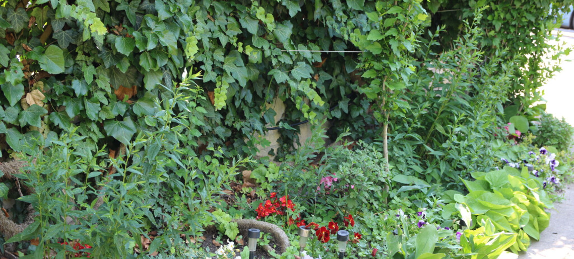 Hajnalka Apartmanház Gyula - 7