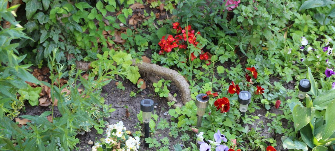 Hajnalka Apartmanház Gyula - 11