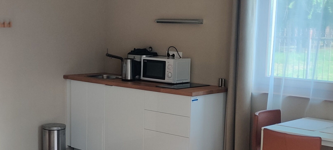 Elixbeer Kastély Sörház és Vendégház Gyula - 7