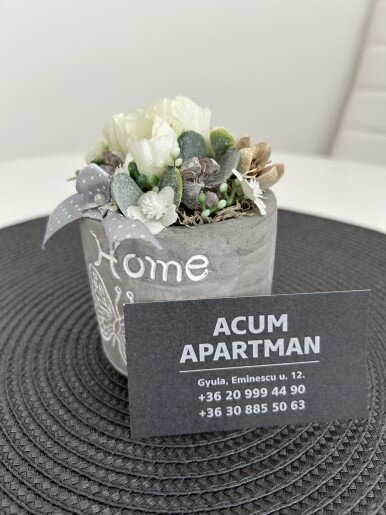 Acum Apartman Gyula - 19