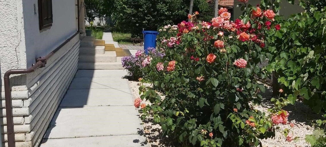 Szitakötő Apartman Gyula - 1