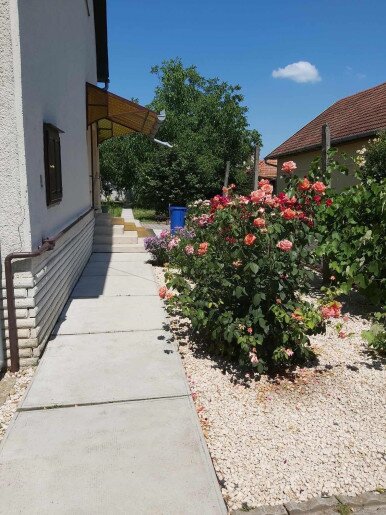 Szitakötő Apartman Gyula - 1