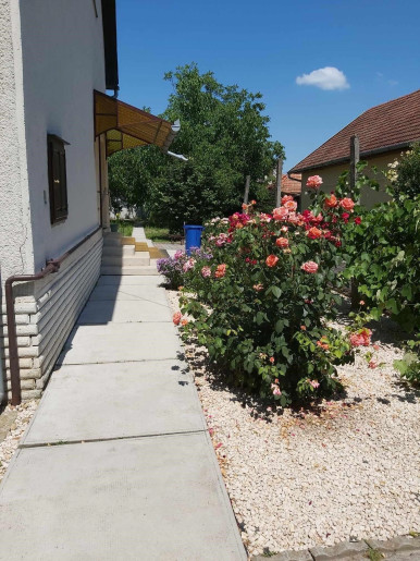 Szitakötő Apartman Gyula - 1