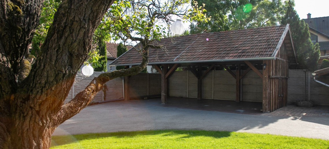 Vadvirág Apartman Gyula - 4