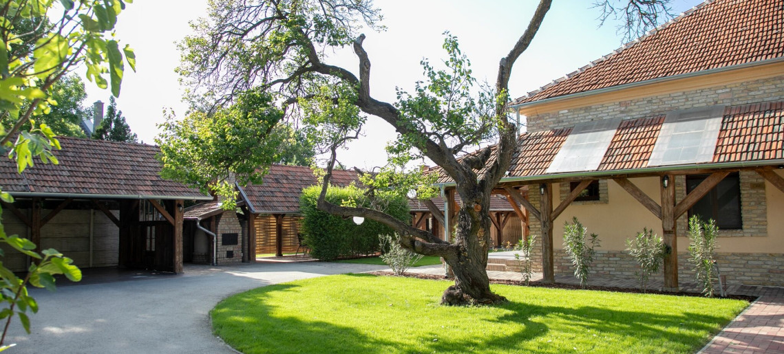 Vadvirág  Apartman 2 Gyula - 1