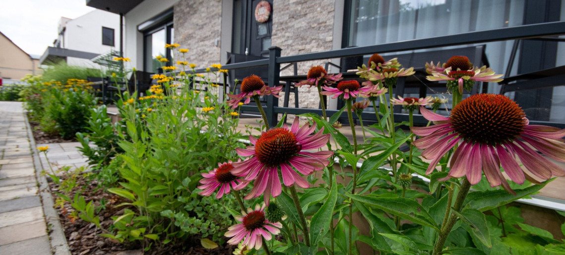 Négy Évszak Apartmanház Gyula - 1