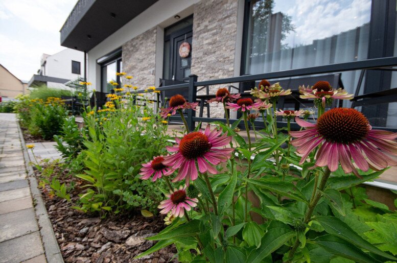 Négy Évszak Apartmanház Gyula - 1