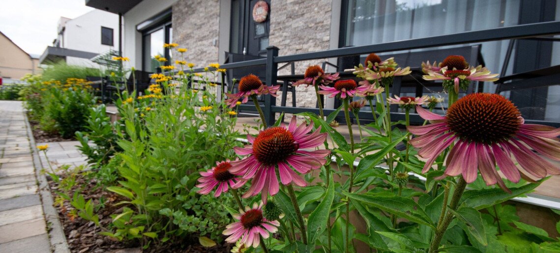 Négy Évszak Apartmanház Gyula - 1