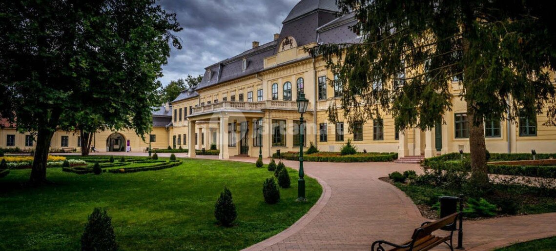 Steersman Apartman Gyula - 14