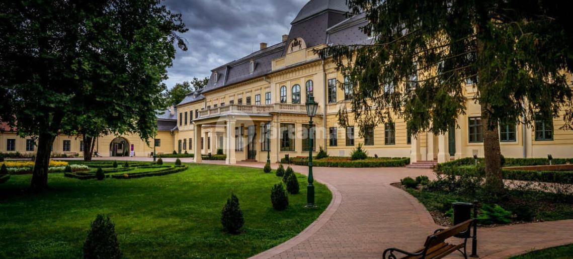 Steersman Apartman Gyula - 15