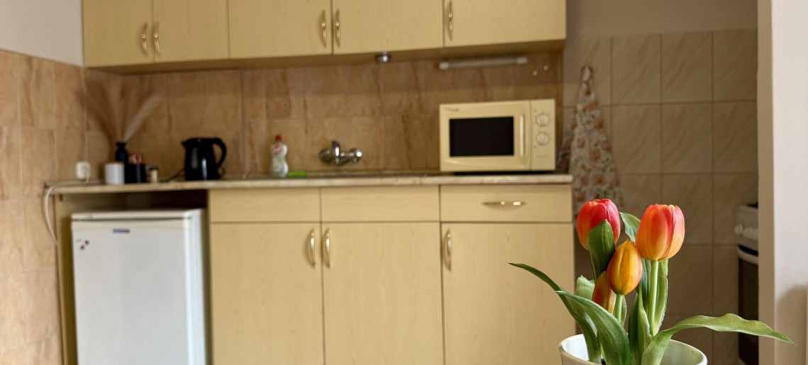 Vintage Apartman Gyula - 12