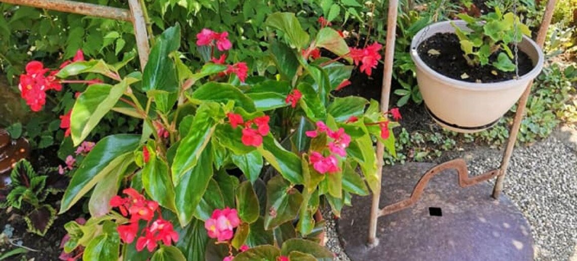 Agod Apartman Gyula - 14