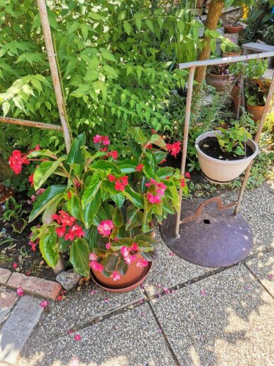 Agod Apartman Gyula - 14