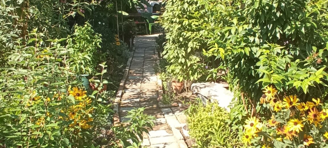 Agod Apartman Gyula - 15