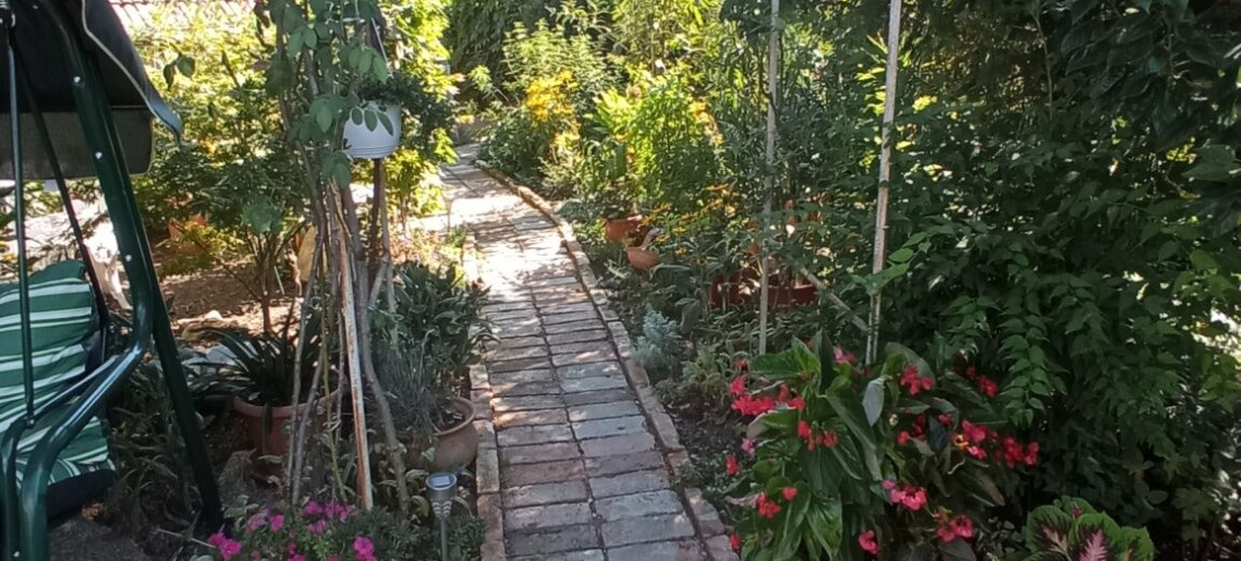 Agod Apartman Gyula - 7