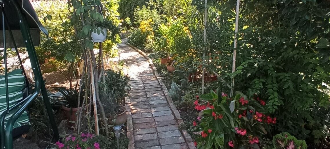 Agod Apartman Gyula - 16