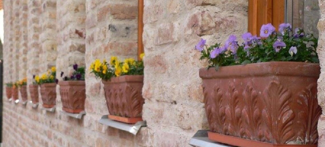 Akácia Apartman Gyula - 3