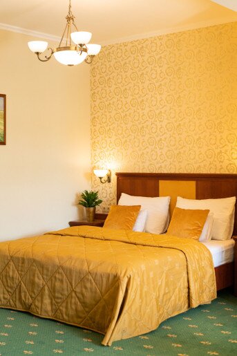 Elizabeth Hotel Gyula - 24