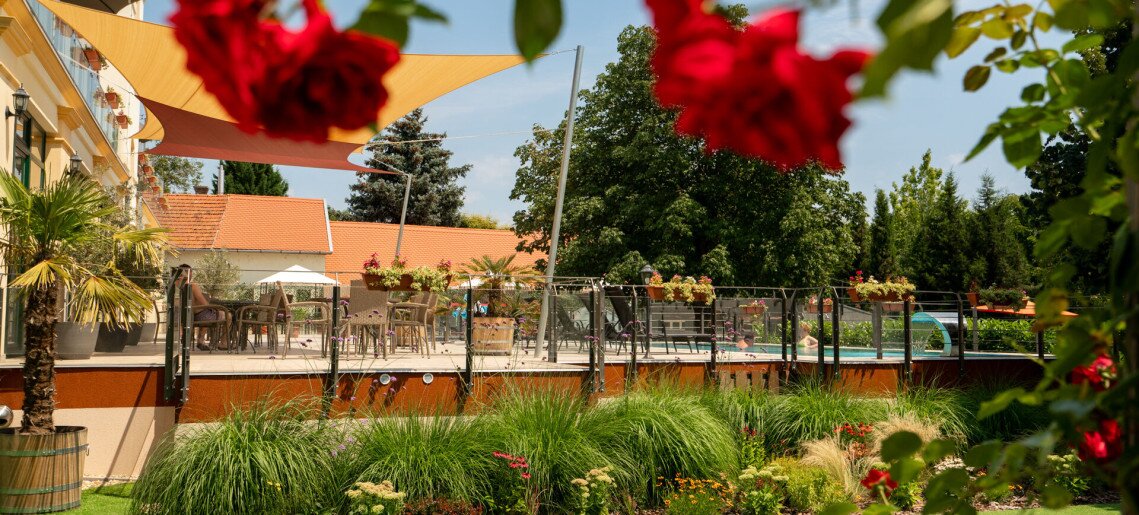 Elizabeth Hotel Gyula - 9