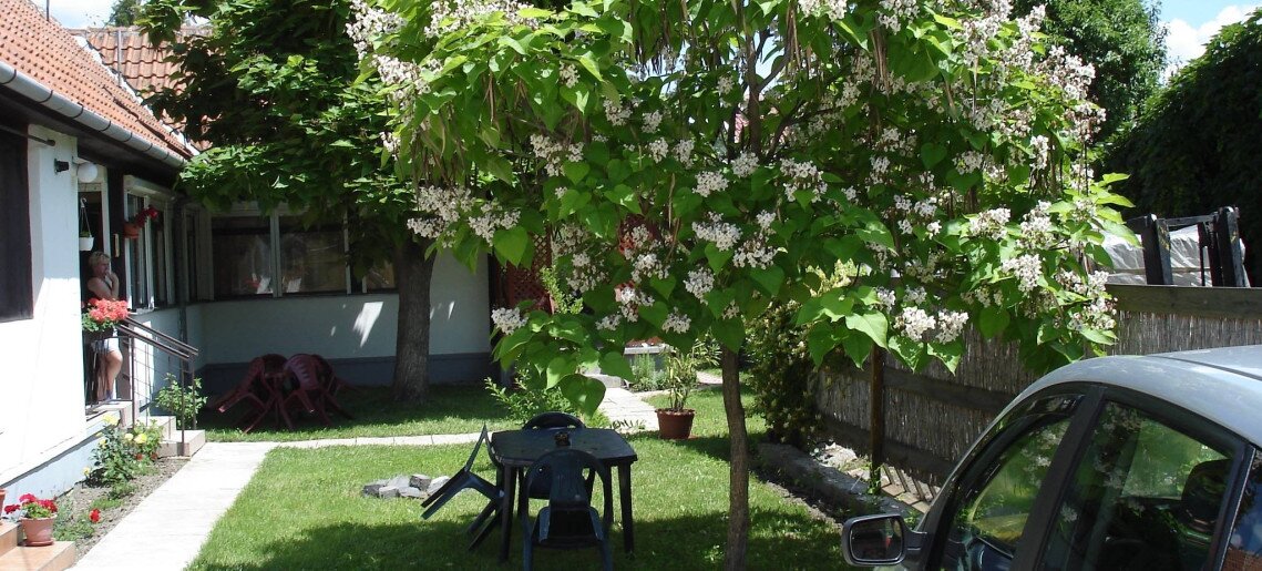 Rózsa Apartman Gyula - 2