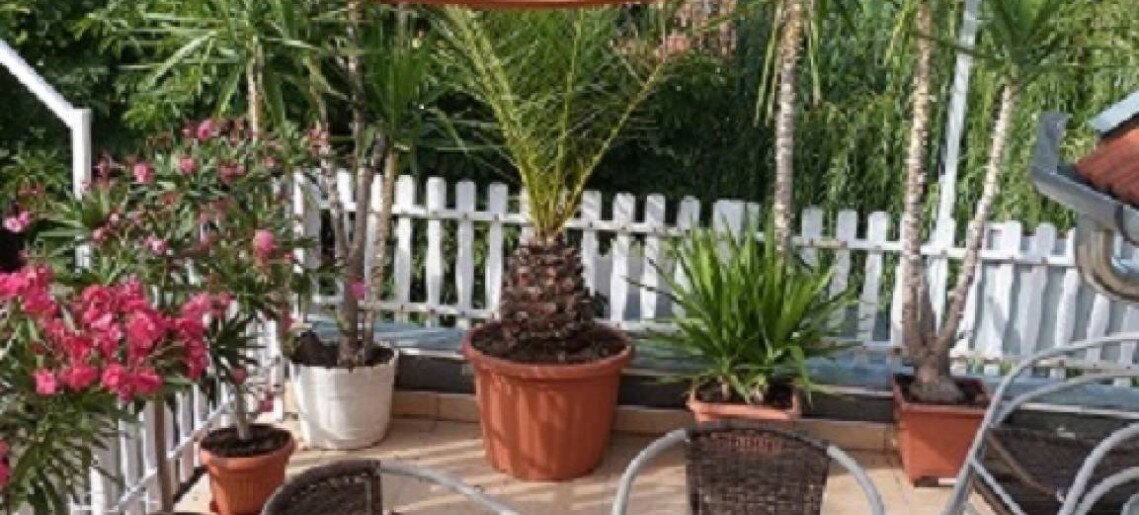 Andi Apartman Gyula - 1