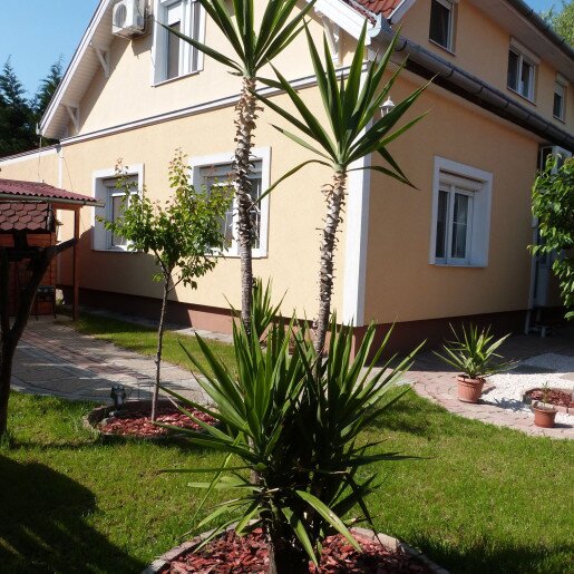 Andi Apartman Gyula - 9