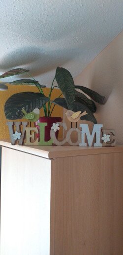 Andi Apartman Gyula - 3