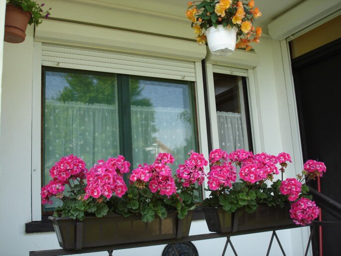Liza Apartman Gyula - 2