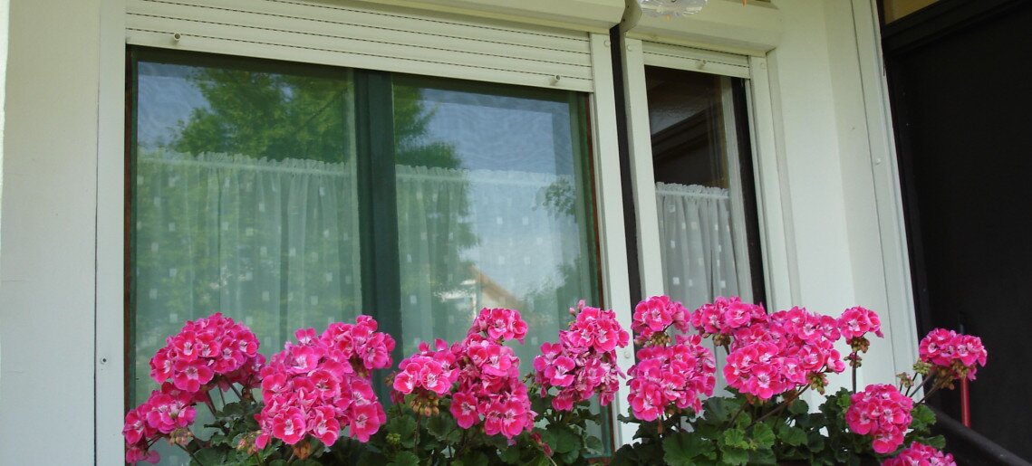 Liza Apartman Gyula - 2