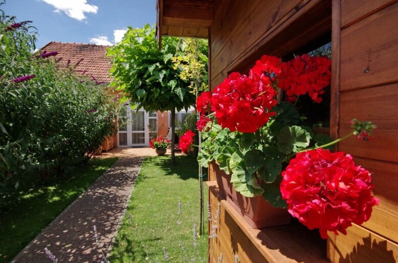 Villa Viola Gyula - 8