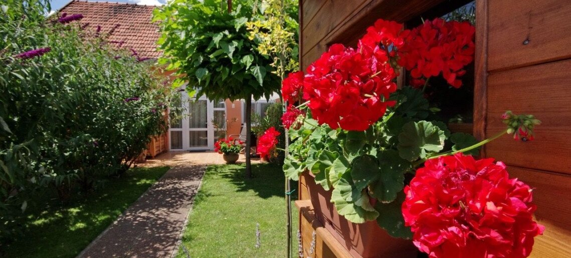 Villa Viola Gyula - 8