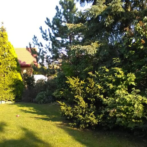 4 Évszak Apartman Gyula - 6