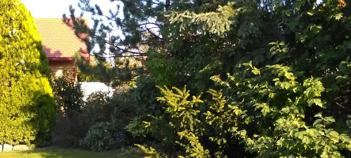 4 Évszak Apartman Gyula - 6