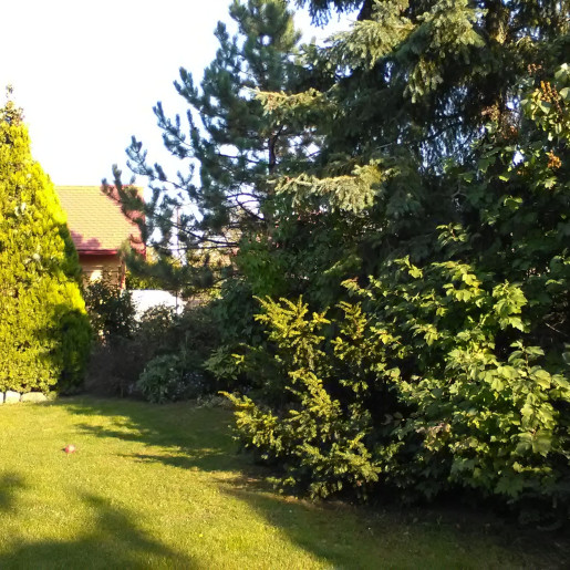 4 Évszak Apartman Gyula - 6