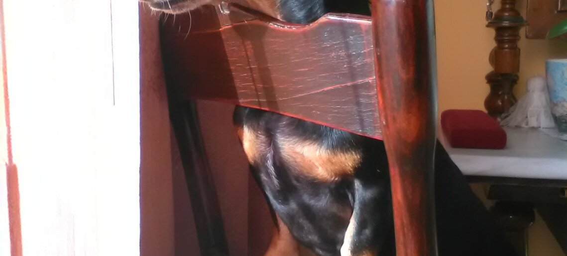 4 Évszak Apartman Gyula - 7