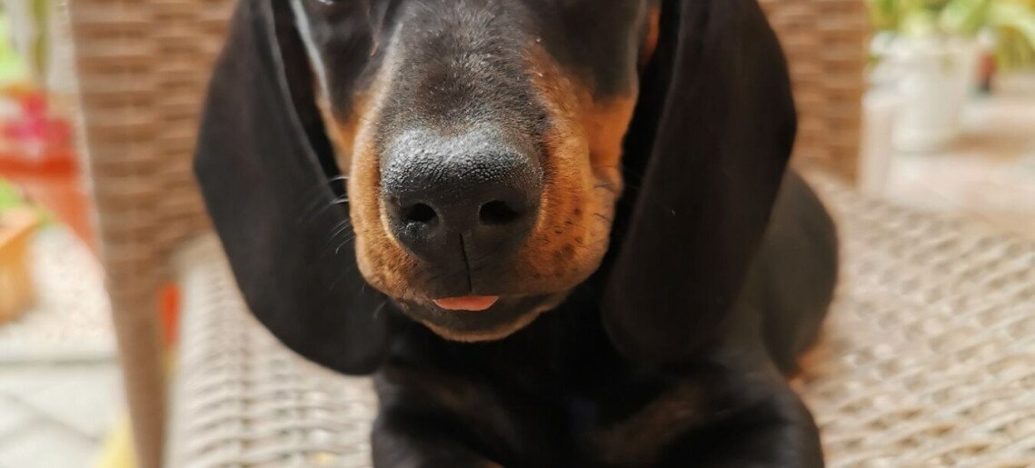 Corso Boutique Hotel Gyula - 40