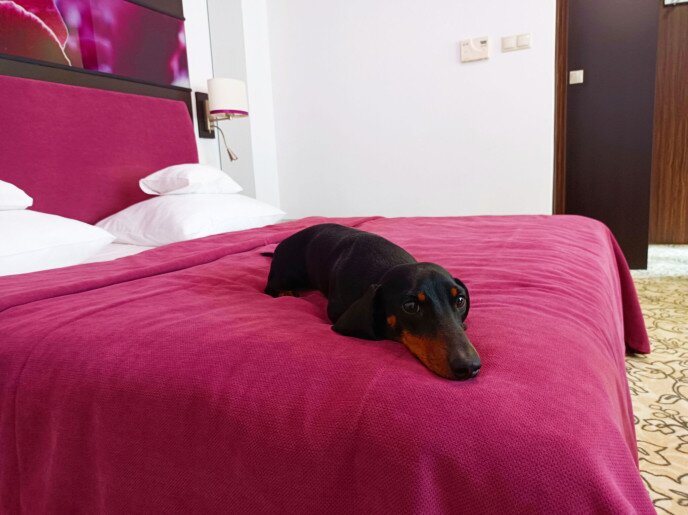 Corso Boutique Hotel Gyula - 41