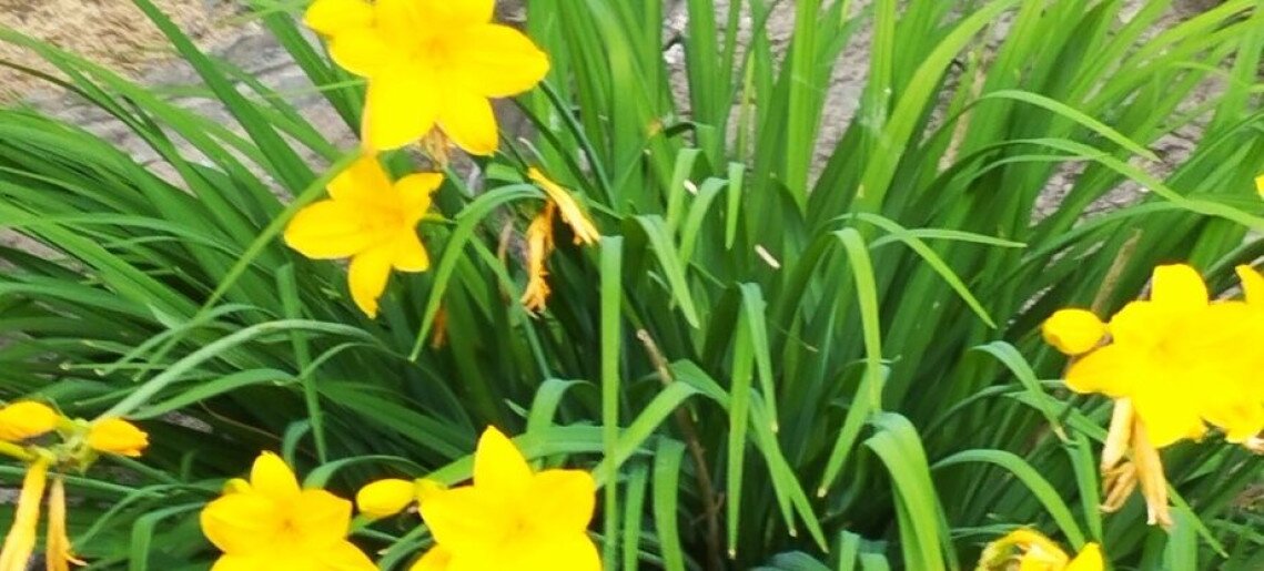 A4 Apartman Gyula - 12