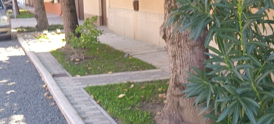 Álom Apartman Gyula - 8