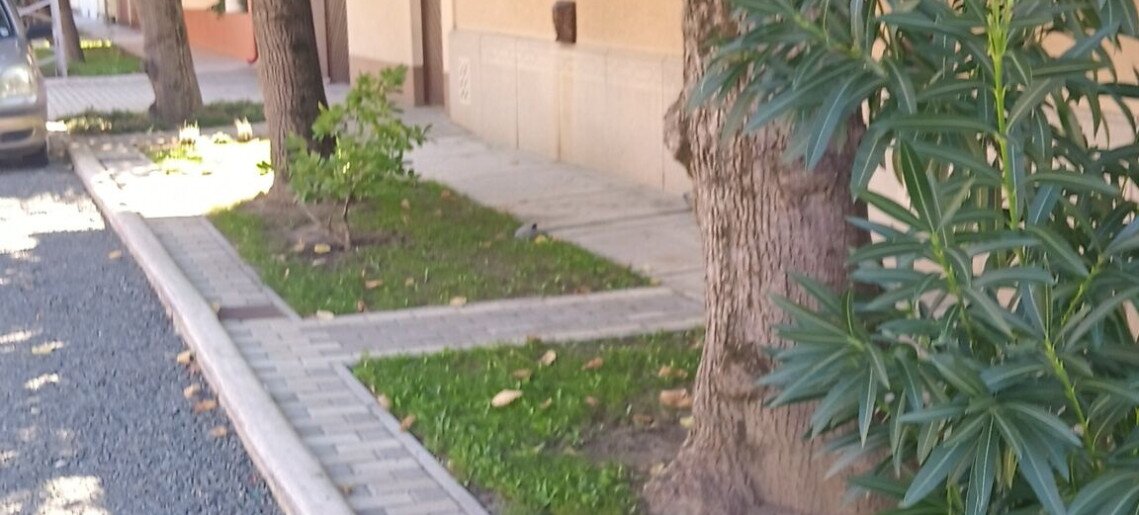 Álom Apartman Gyula - 9